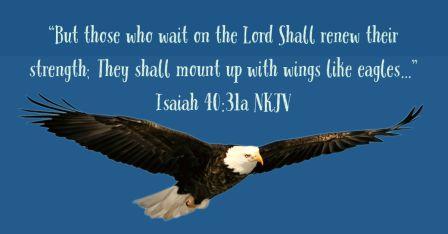 Isaiah 40:31a NKJV